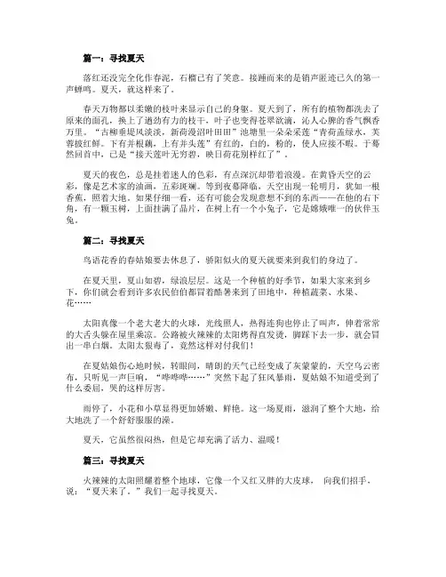 寻找夏天作文初中范文5篇