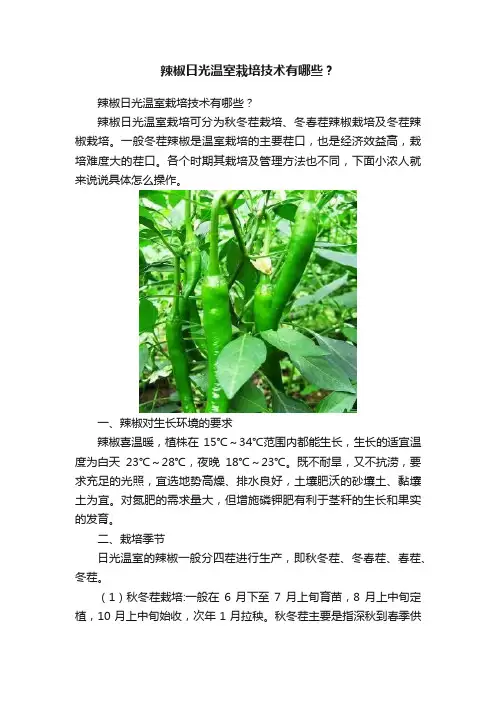 辣椒日光温室栽培技术有哪些？