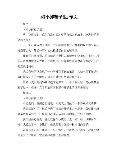 缩小掉鞋子里,作文