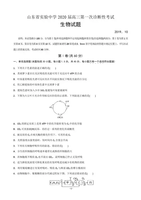 2020届山东省实验中学高三第一次诊断性考试生物试题