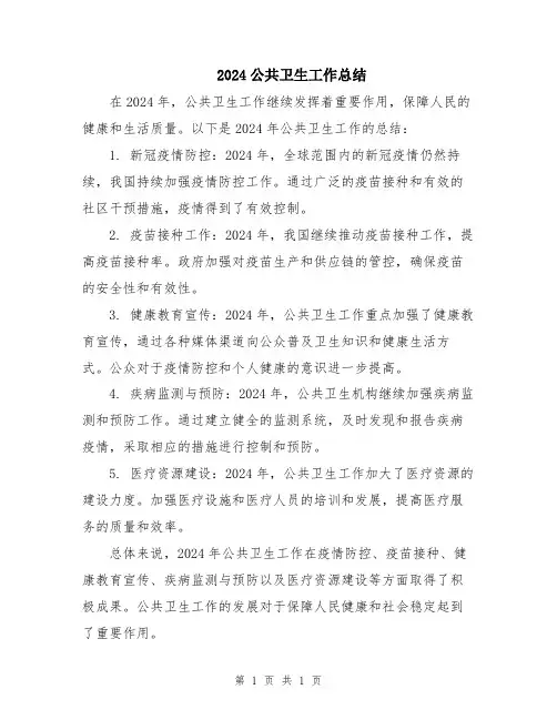 2024公共卫生工作总结
