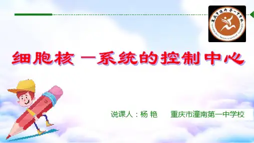 细胞核说课ppt课件