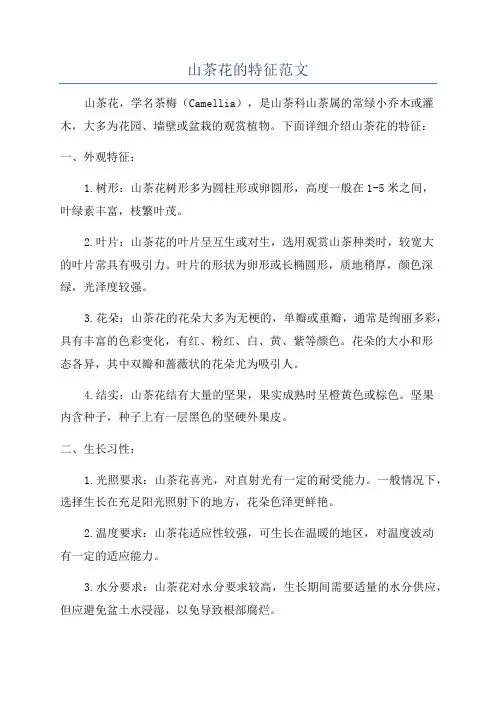 山茶花的特征范文