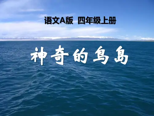 A版四年级语文上册《神奇的鸟岛》PPT课件(2篇)