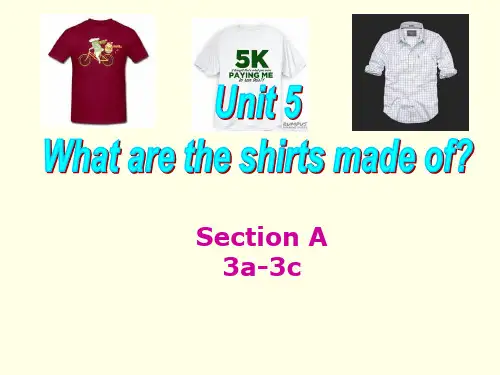 Unit5SectionA(3a3c)课件人教版英语九年级全册
