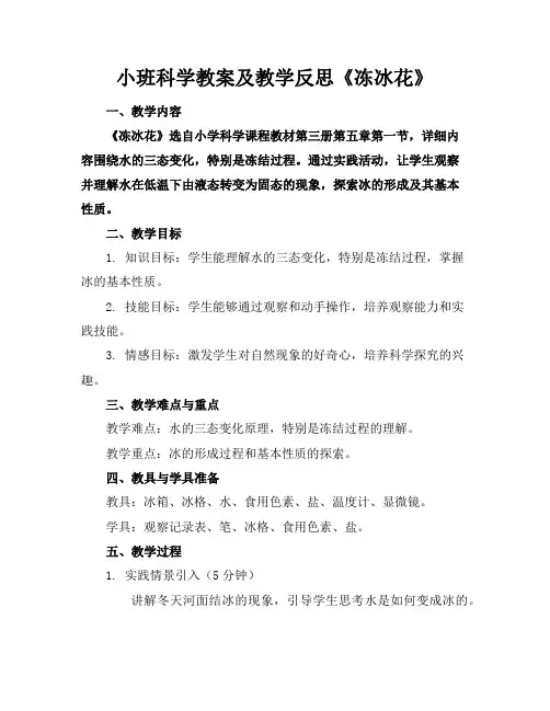 小班科学教案及教学反思《冻冰花》