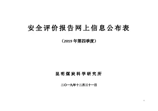 安全评价报告网上信息公布表.doc
