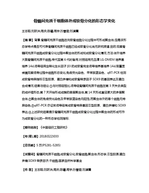 骨髓间充质干细胞体外成软骨分化的形态学变化