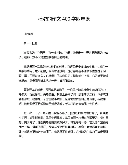 杜鹃的作文400字四年级