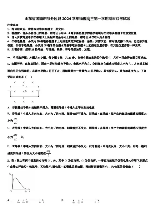 山东省济南市部分区县2024学年物理高三第一学期期末联考试题含解析