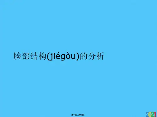 脸部结构的分析(共10张PPT)
