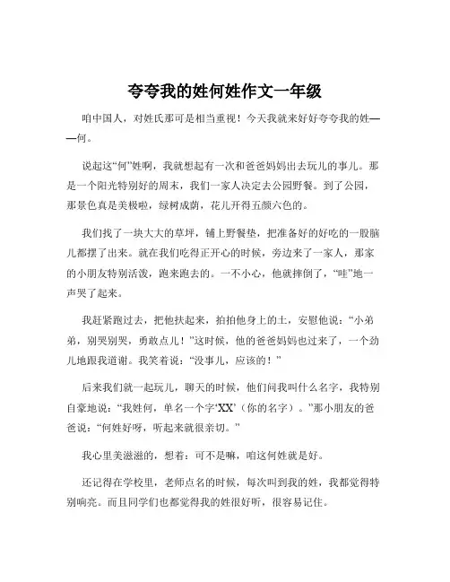 夸夸我的姓何姓作文一年级