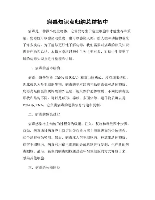 病毒知识点归纳总结初中