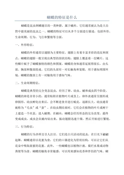 蝴蝶的特征是什么