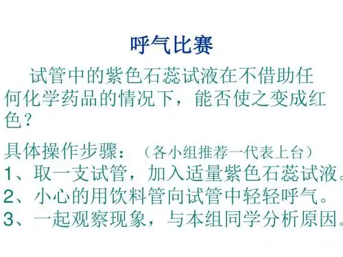 课题一 常见的酸和碱(第一课时)课件