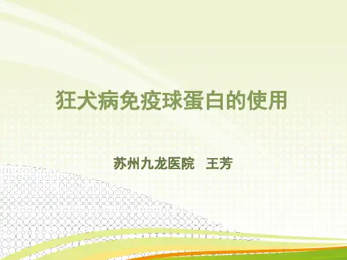 免疫球蛋白使用