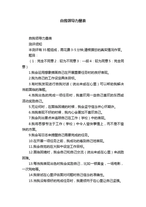 自我领导力量表