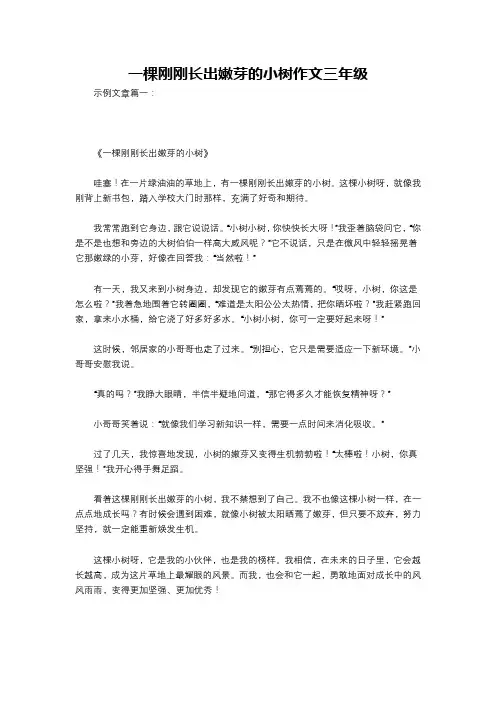 一棵刚刚长出嫩芽的小树作文三年级