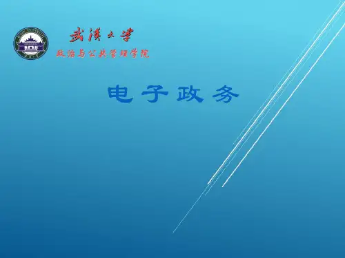 【武汉大学 电子政务 精品讲义】第1章