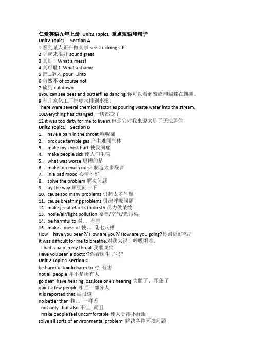 仁爱英语九年级上册Unit2  短语句子