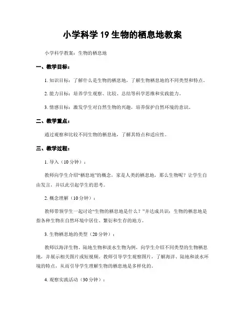 小学科学19生物的栖息地教案