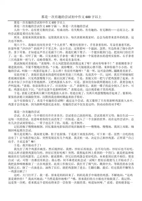 那是一次有趣的尝试初中作文600字以上