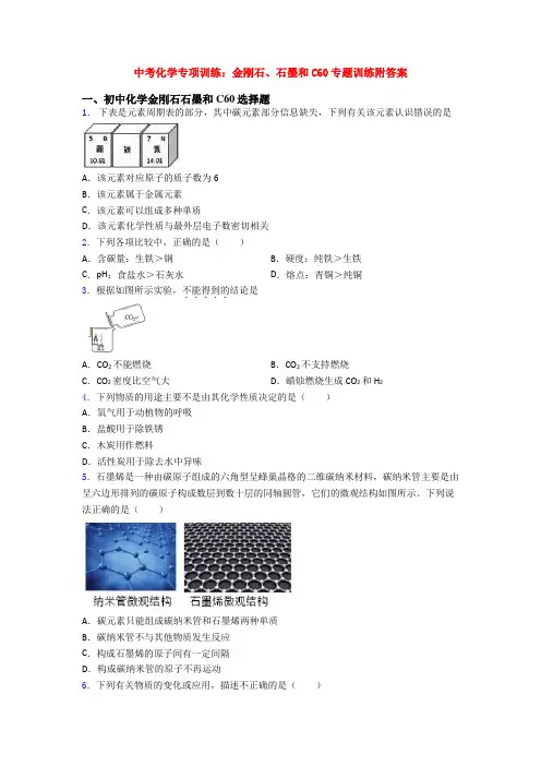 中考化学专项训练：金刚石、石墨和C60专题训练附答案