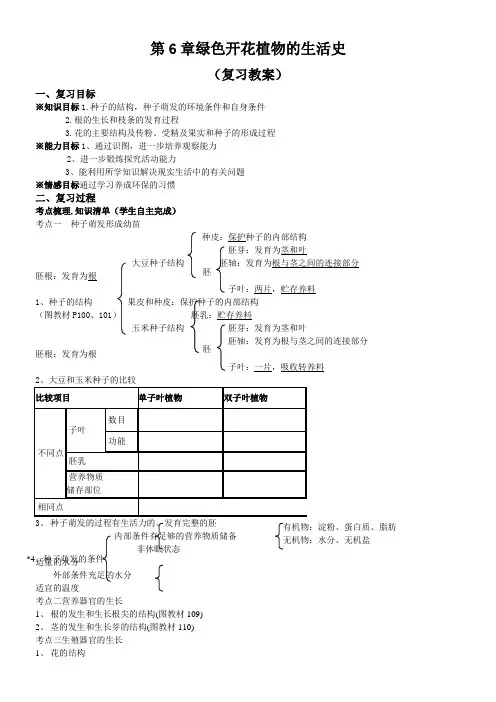 北师大版初中生物七年级上册 第3节 生殖器官的生长-“十市联赛”一等奖