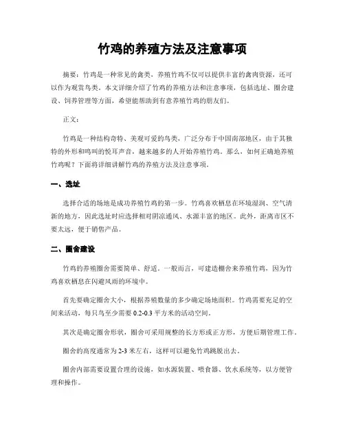 竹鸡的养殖方法及注意事项