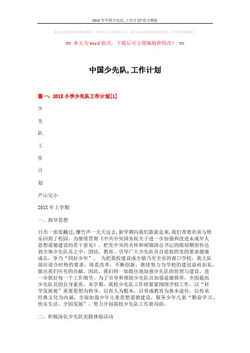 2018年中国少先队,工作计划-范文模板 (11页)