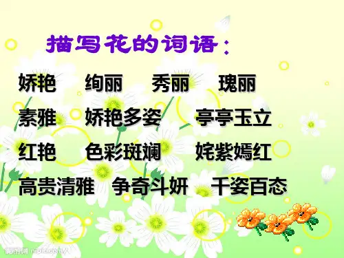 21 一路花香PPT课件