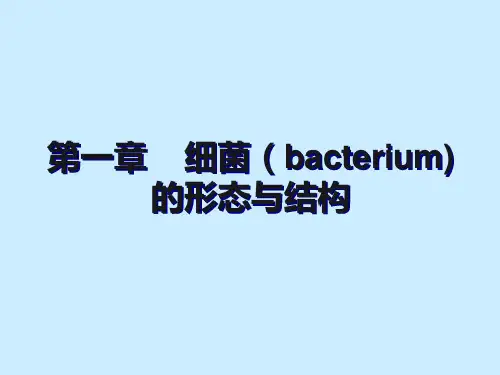 细菌的形态和结构