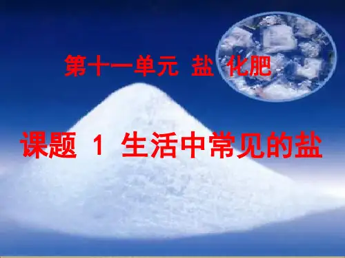 人教版九年级化学第十一单元课题生活中常见的盐ppt课件