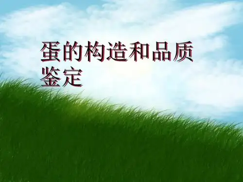 蛋的构造和品质鉴定PPT课件