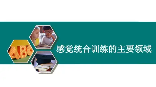 感觉统合训练的主要领域