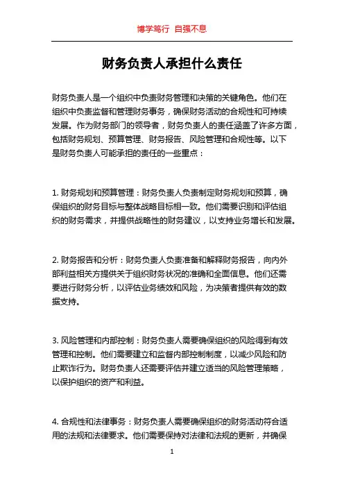 财务负责人承担什么责任