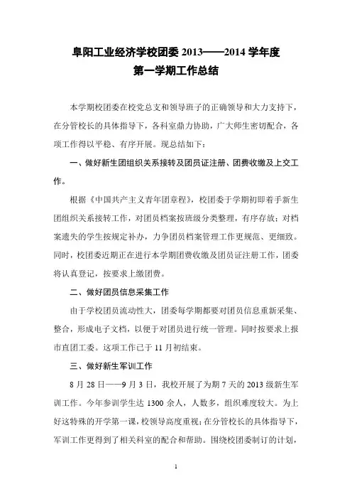 团委2013工作总结