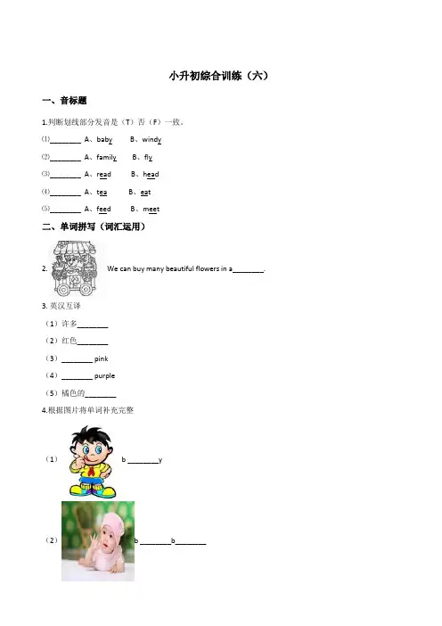 六年级下册英语试题--小升初综合训练(六) 冀教版 含答案