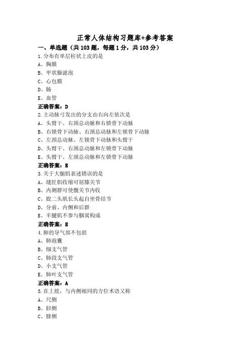正常人体结构习题库+参考答案