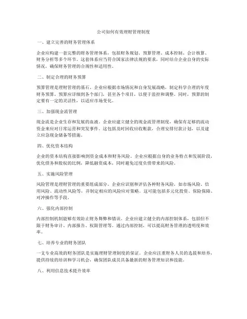 公司如何有效理财管理制度