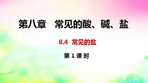 常见的盐第1课时课件(粤教版化学)