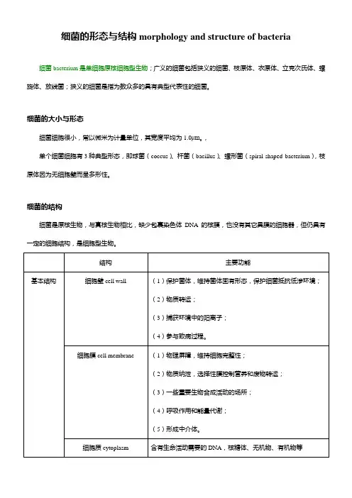 02 细菌的形态与结构morphology and structure of bacteria