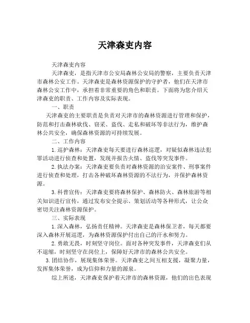 天津森吏内容
