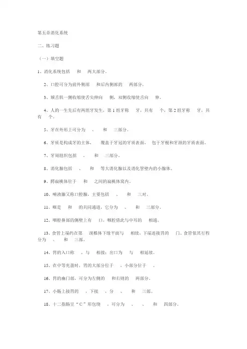解剖学试题-消化系统考题及答案