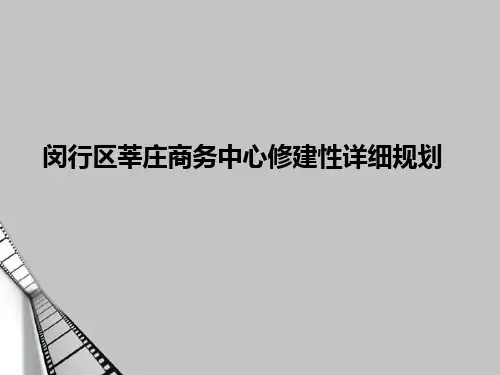 城市中心区规划案例分析1