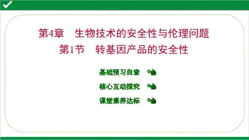 人教版高中生物选择性必修三课件——第4章 第 1 节 转基因产品的安全性