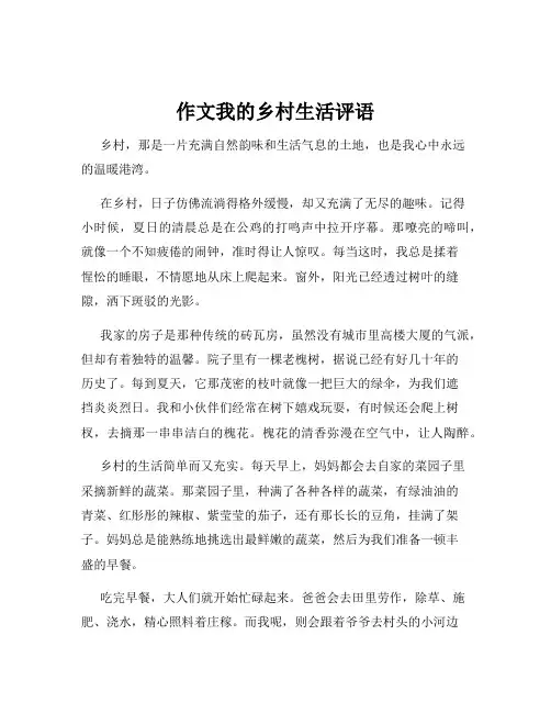 作文我的乡村生活评语