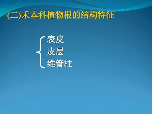 《植物学》课件 第3章 根2