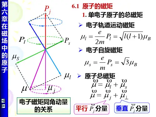 原子物理学,褚圣麟第六章