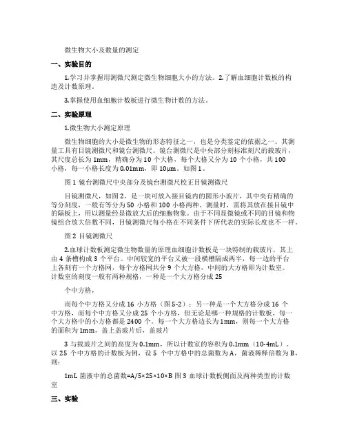 微生物量微生物大小及数量的测定